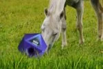 Krmná hračka pro koně s otvorem na pamlsky 37 mm, modrá – Maximus Feed & Play Cube - Obrázek 3