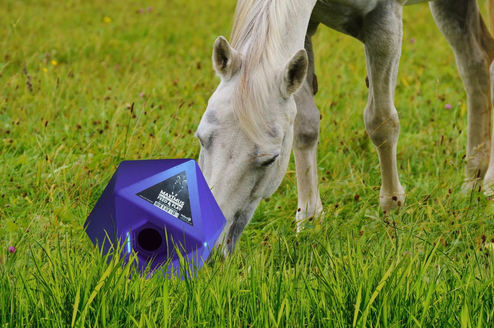 Krmná hračka pro koně s otvorem na pamlsky 37 mm, modrá – Maximus Feed & Play Cube - Obrázek 3