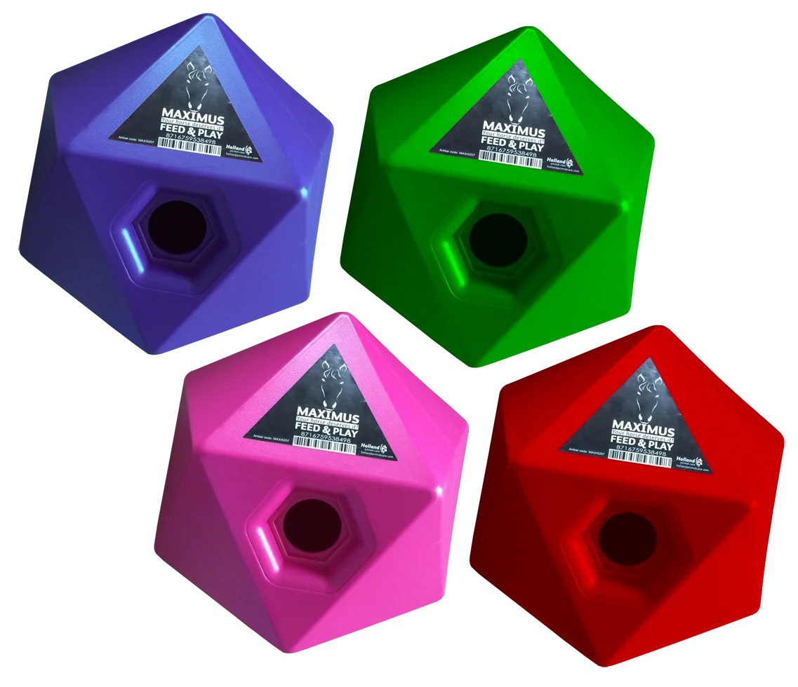 Růžová krmná kostka pro koně, otvor na pamlsky 37 mm – Maximus Feed & Play Cube - Obrázek 2