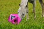 Růžová krmná kostka pro koně, otvor na pamlsky 37 mm – Maximus Feed & Play Cube - Obrázek 3