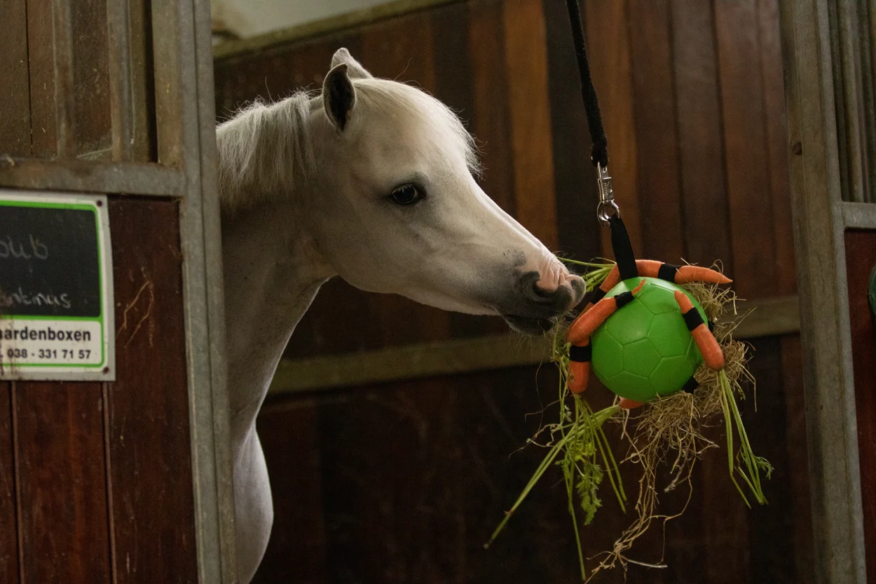 Hračka pro koně s elastickými poutky, 19 cm, růžová – Excellent Horse Fun Play Ball - Obrázek 4