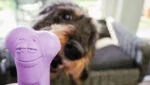 Žvýkací kost z gumy s vůní levandule – Moodies El Tranquilo - Obrázek 4
