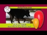 Plastové hrací vejce pro psy, fialové, 20 cm – Jolly Pets Egg - Obrázek 6