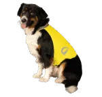 Bezpečnostní vesta pro psy s reflexními prvky a zapínáním na suchý zip, žlutá M – Nightwalk Safety Vest - Obrázek 3