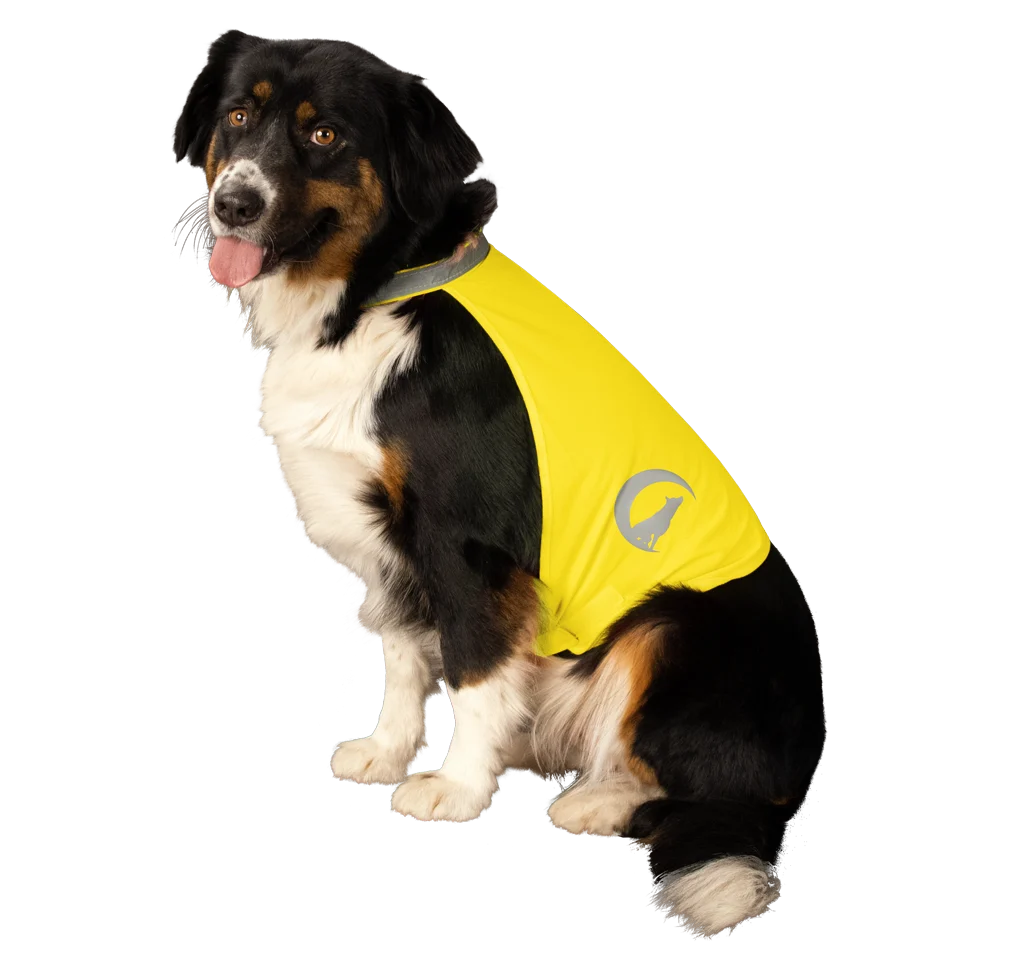 Bezpečnostní vesta pro psy s reflexními prvky a zapínáním na suchý zip, žlutá, S – Nightwalk Safety Vest - Obrázek 3