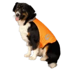 Bezpečnostní vesta pro psy s reflexními prvky a zapínáním na suchý zip, oranžová, S – Nightwalk Safety Vest - Obrázek 3