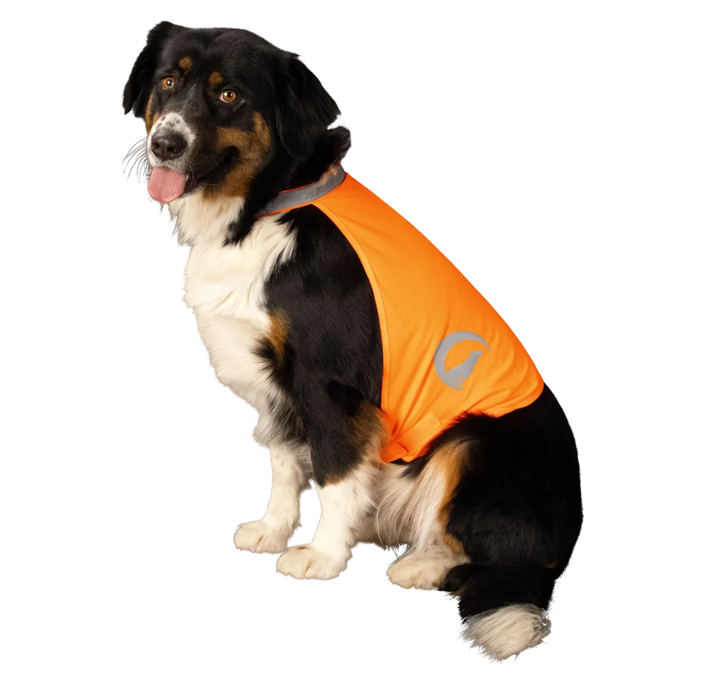 Bezpečnostní vesta pro psy s reflexními prvky a zapínáním na suchý zip, oranžová, S – Nightwalk Safety Vest - Obrázek 3