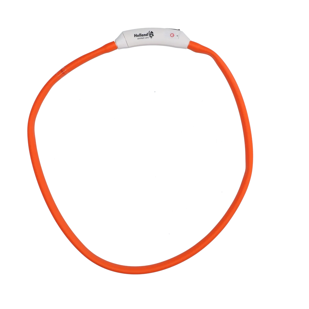 Svítící obojek pro psy, dobíjecí, oranžový – Nightwalk Safety Collar - Obrázek 4