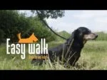 Postroj pro psa s lanovým vodítkem, červený – ruční model Easy Walk - Obrázek 4