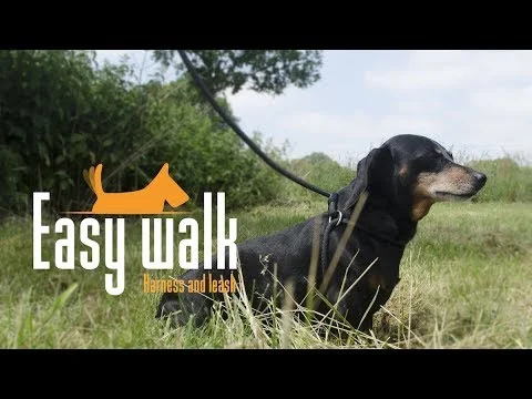 Postroj pro psa s lanovým vodítkem, červený – ruční model Easy Walk - Obrázek 4