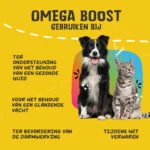 Omega olej pro psy s rostlinnými oleji, 1 l – Excellent Pets Omega Boost - Obrázek 6