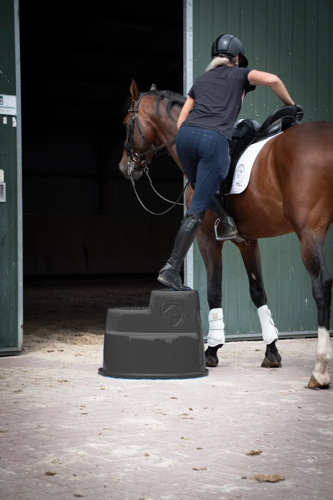 Nástupní stupínek se 3 protiskluzovými stupni, černý, 53 cm – Excellent Horse - Obrázek 4