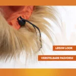 Lví hříva pro psy oranžová M – Oranžová lví hříva Holland - Obrázek 4