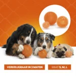 Míček pro psy s měkkými bodlinami M – Holland Oranje Ježek - Obrázek 6
