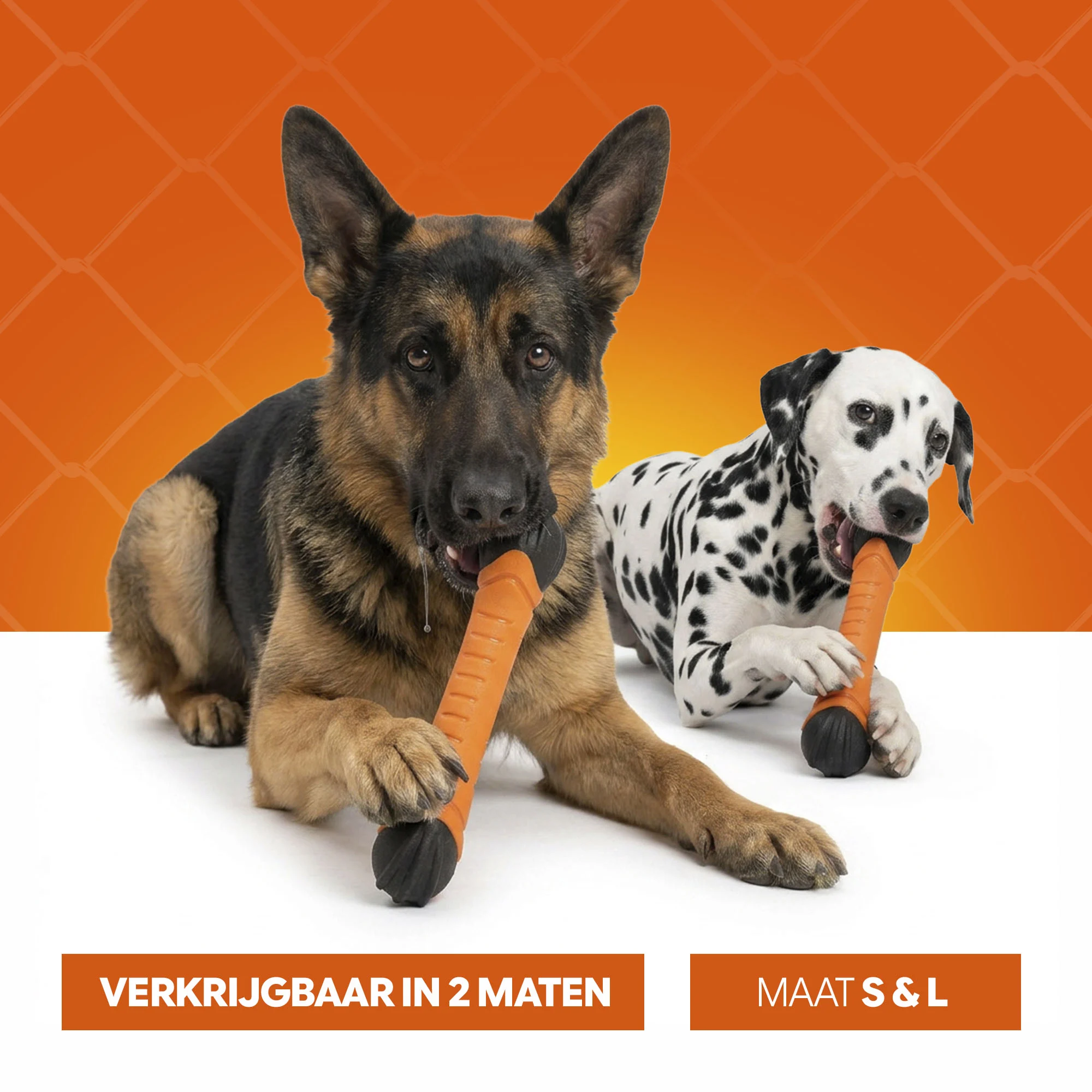 Plovoucí aportovací tyčinka s pískátkem S 24 cm – Holland Oranje Apporteerstick - Obrázek 6