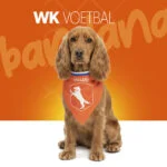 Oranžový šátek pro psy M ke Dni krále – Holland Oranje Bandana - Obrázek 2