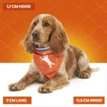 Oranžový šátek pro psy M ke Dni krále – Holland Oranje Bandana - Obrázek 4