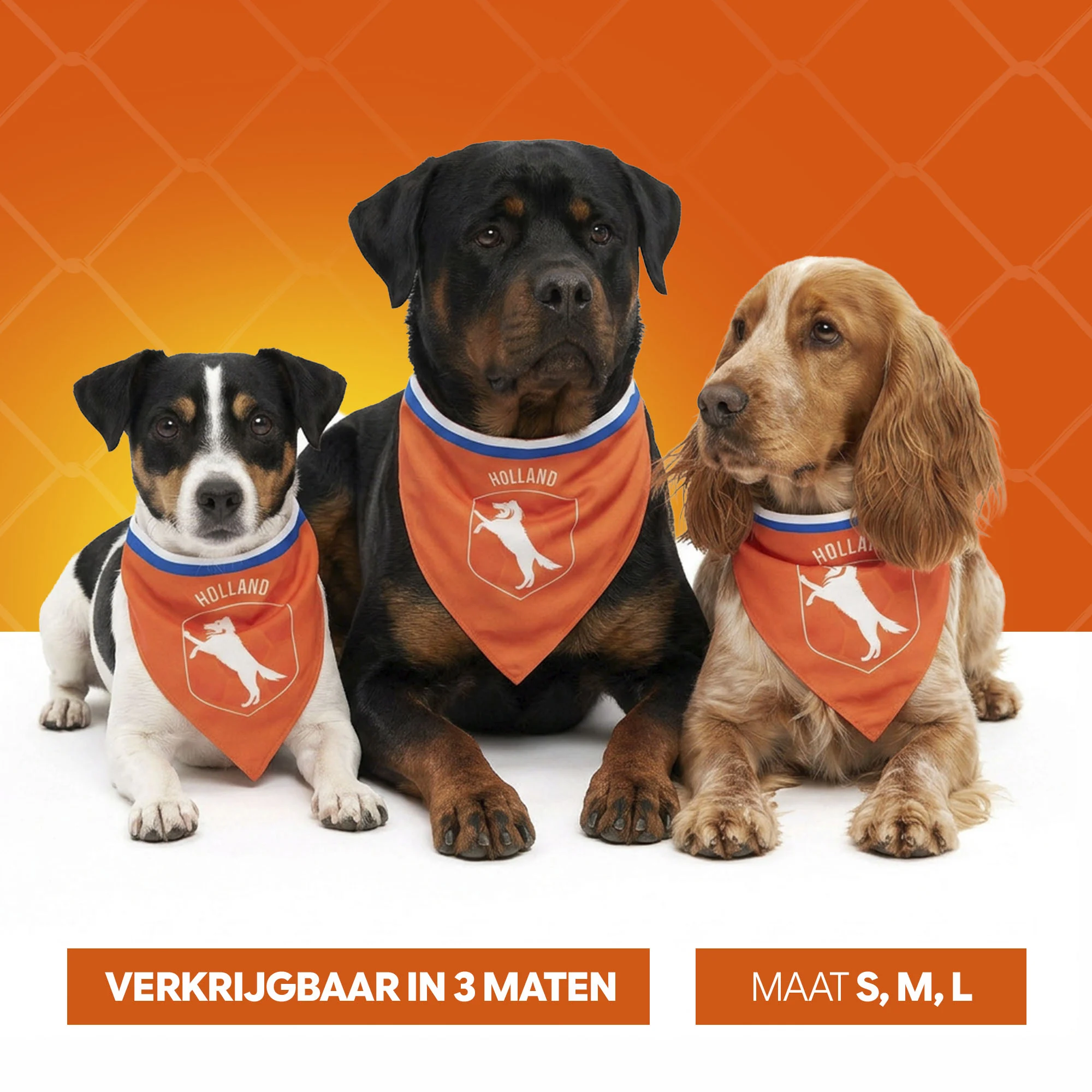 Oranžový šátek pro psy M ke Dni krále – Holland Oranje Bandana - Obrázek 6