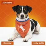 Oranžový šátek pro psy S ke Dni krále – Holland Oranje Bandana - Obrázek 4