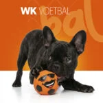 Latexová hračka pro psy s pískátkem, oranžová, M – Holland Mr. Dutch - Obrázek 2