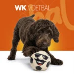 Latexová hračka pro psy s pískátkem, oranžová, L – Holland Mr. WK Soccer - Obrázek 2
