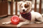 Hračka na pamlsky pro psy z TPE – Outward Hound Orbee-Tuff Snoop (Lil' Snoop) - Obrázek 2