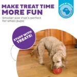 Hračka na pamlsky pro psy z TPE – Outward Hound Orbee-Tuff Snoop (Lil' Snoop) - Obrázek 4