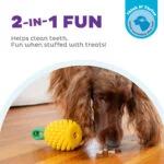 Žvýkací hračka s lanem a ovocnou vůní – Outward Hound (Kyjen) Dental Pineapple - Obrázek 4