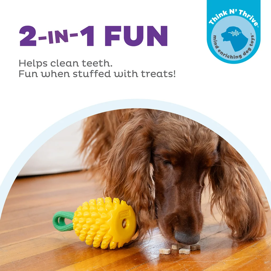 Žvýkací hračka s lanem a ovocnou vůní – Outward Hound (Kyjen) Dental Pineapple - Obrázek 4