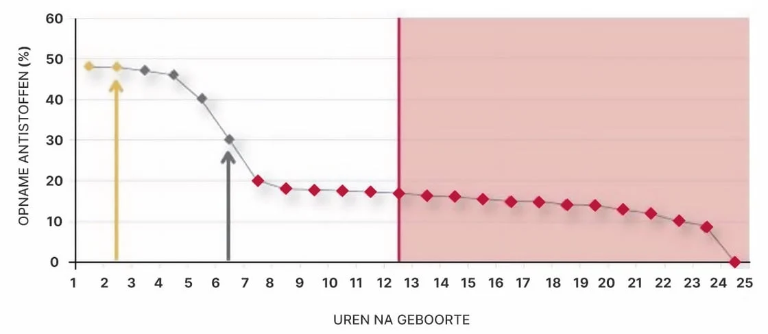 Mlezivový prášek pro novorozená jehňata, 10 x 25 g – Excellent Colstart Plus - Obrázek 3