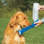 Láhev na vodu s miskou 500 ml – Pawise Travel Bottle - Obrázek 4