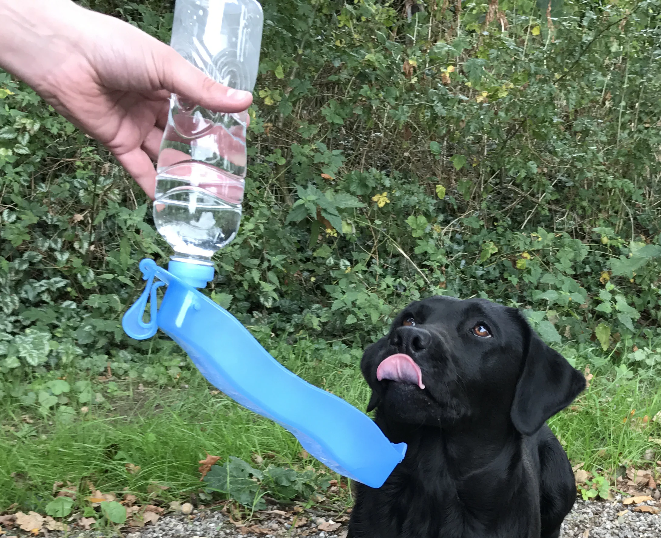 Láhev na vodu s miskou 500 ml – Pawise Travel Bottle - Obrázek 5