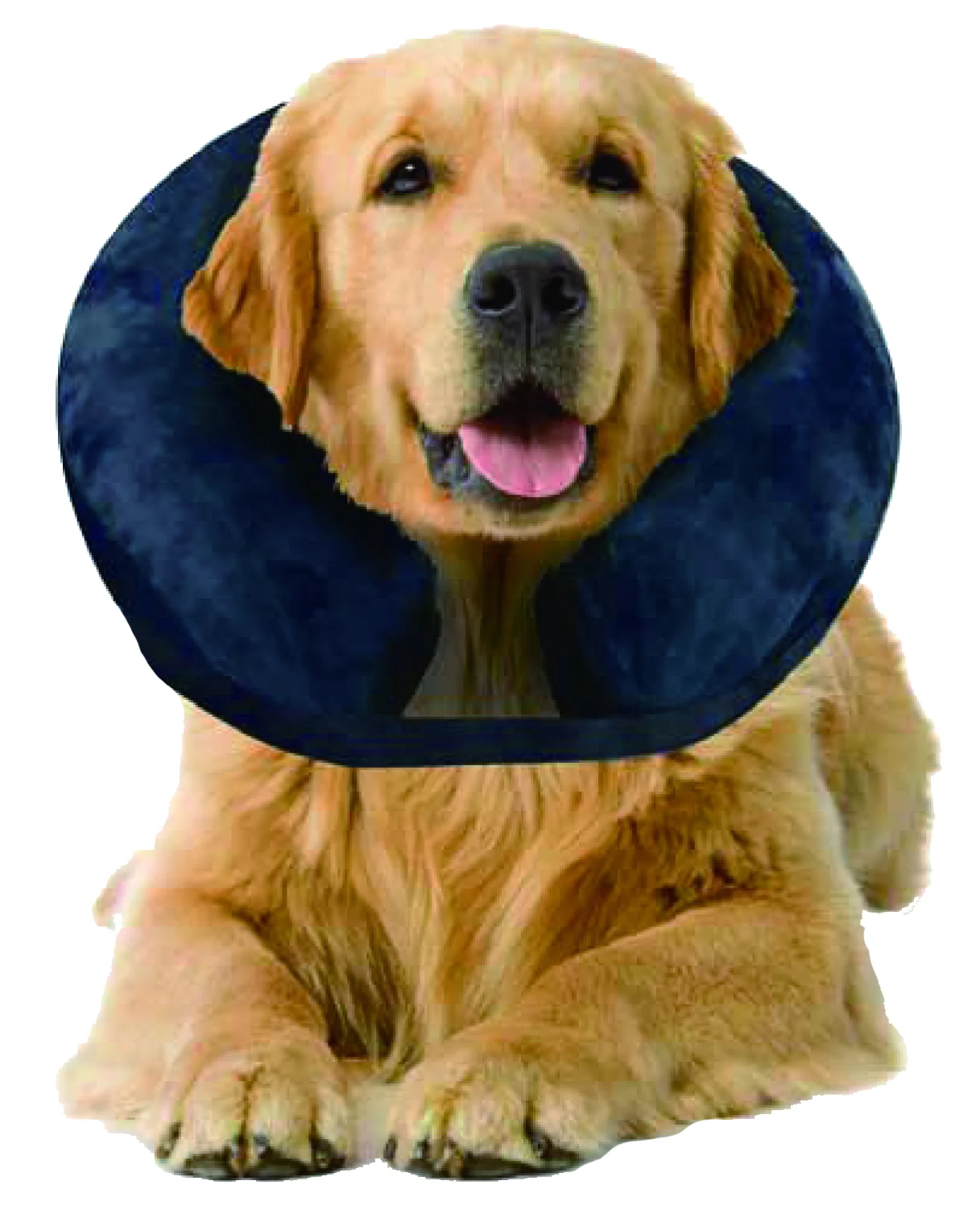 Nafukovací ochranný límec L, 33 až 45 cm – Pawise Inflatable Protective Collar - Obrázek 2