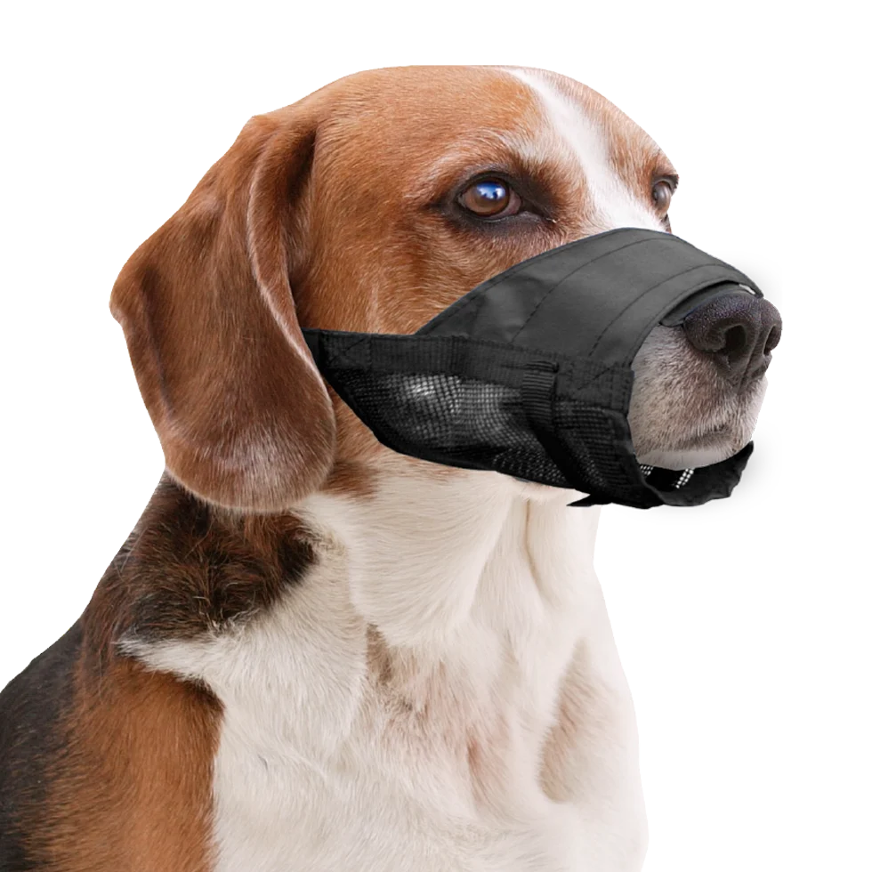 Nylonový náhubek pro psy, nastavitelný, černý, velikost XS – Pawise Adjustable Nylon Muzzle XS - Obrázek 2