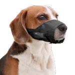 Nylonový nastavitelný náhubek pro psy, velikost L – Pawise Adjustable Nylon Muzzle L - Obrázek 2