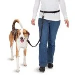 Handsfree vodítko na běhání se psem s elastickým koncem – Pawise Hands Free Doggy Jogger Kit - Obrázek 3