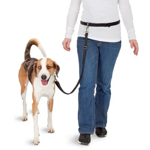 Handsfree vodítko na běhání se psem s elastickým koncem – Pawise Hands Free Doggy Jogger Kit - Obrázek 3