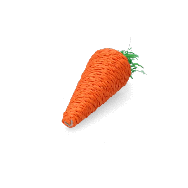 Okusovací hračka pro králíky a hlodavce, barevná – Pawise Play & Chew Carrot