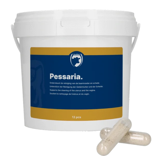 Pessariové kapsle s bylinami, 12 kusů – Excellent Pessaria Capsule