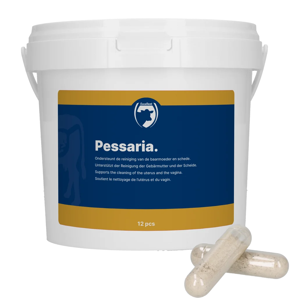 Pessariové kapsle s bylinami, 12 kusů – Excellent Pessaria Capsule - Obrázek 1