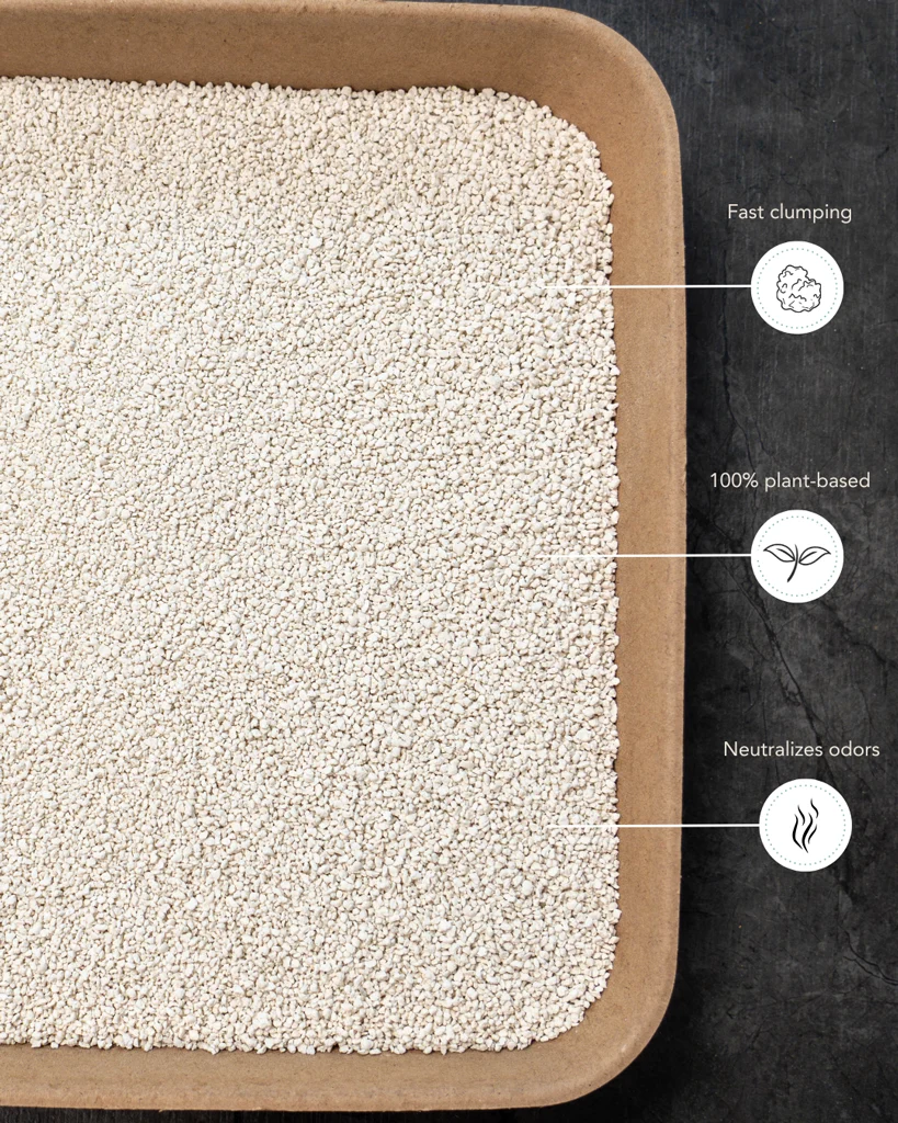 Tofu stelivo z manioku pro automatické kočičí toalety, hrudkující, 3,5 kg – Petlux Cassave Tofu - Obrázek 4
