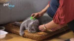 Silikonový kartáč pro dlouhosrsté kočky, zelený – Pet + Me Cat Hair Brush - Obrázek 5