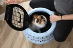 Kulatá přepravka pro kočky s horním otevíráním, modrá – Petmate Get-A-Round Kennel - Obrázek 6