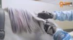 Křídy na srst pro koně, duhové barvy, 6 kusů – Paardenpraat TV duhové barevné křídy - Obrázek 2