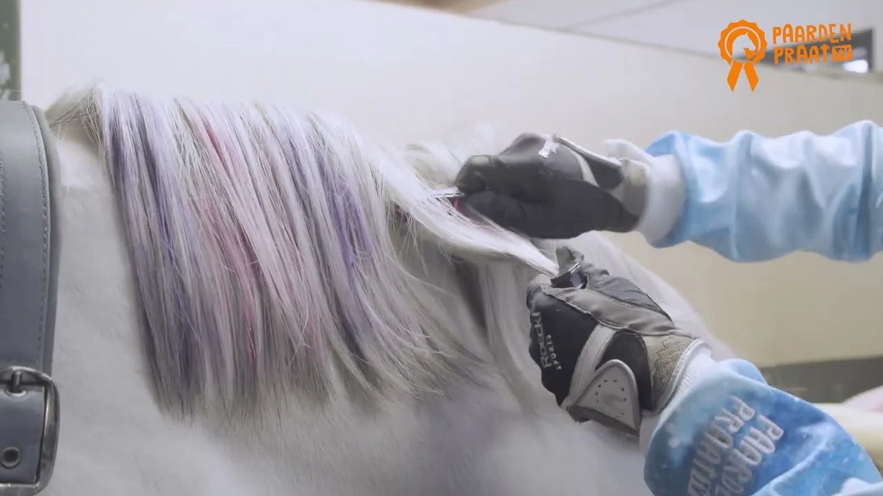 Křídy na srst pro koně, duhové barvy, 6 kusů – Paardenpraat TV duhové barevné křídy - Obrázek 2