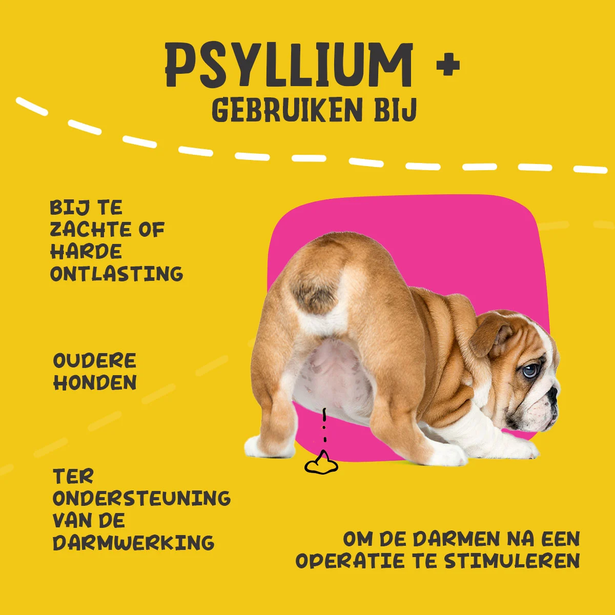 Psylliová vláknina pro psy v prášku, 100 g – Excellent Pets Dog Psyllium+ - Obrázek 6