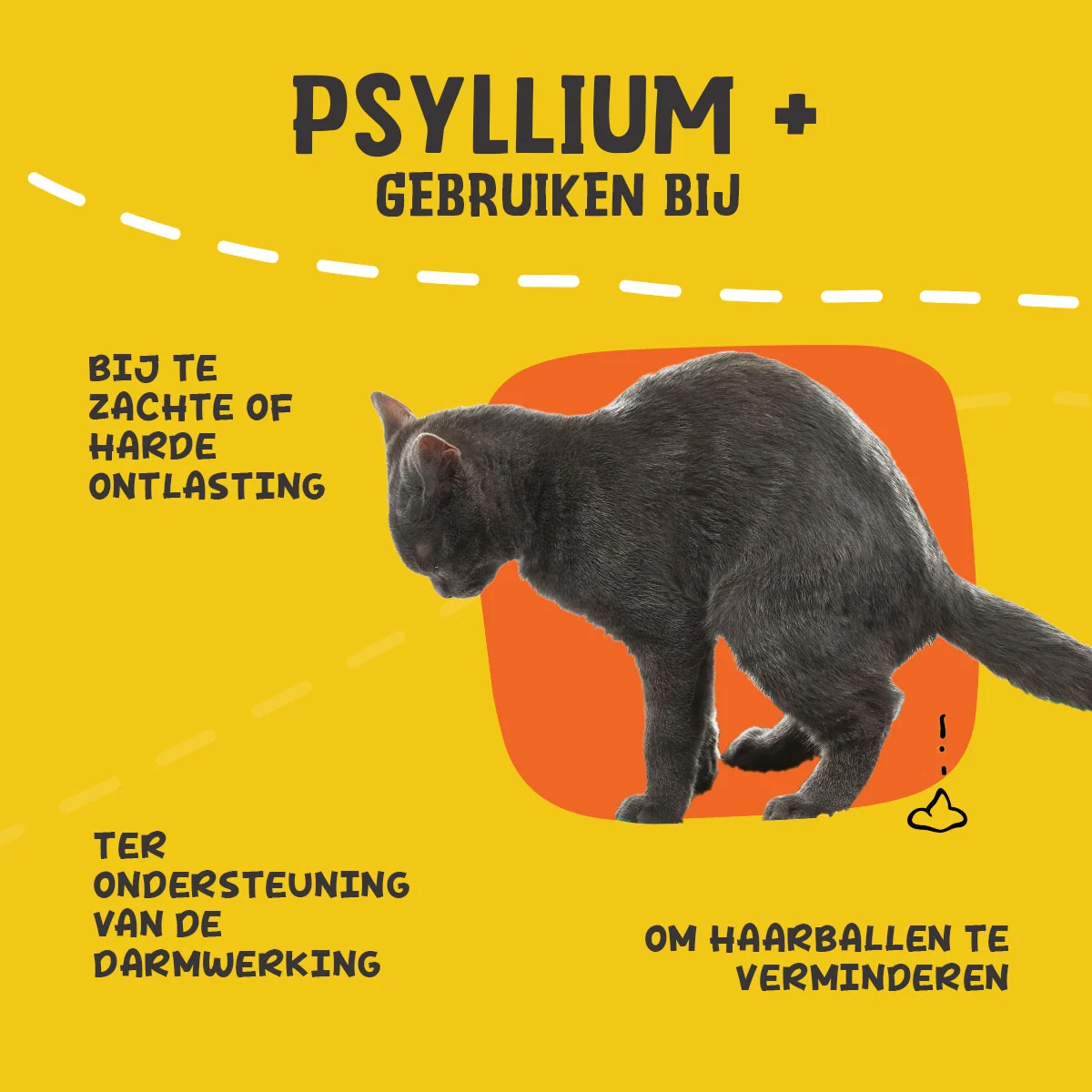 Psylliový prášek pro kočky s karobovou moučkou, 100 g – Excellent Pets Cat Psyllium+ - Obrázek 6