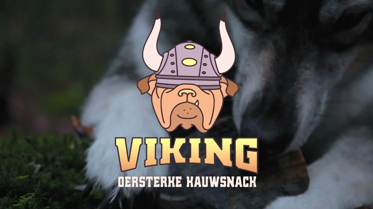Žvýkací roh z hovězího pro psy od 1 do 4 kg – Viking Horn Twist S - Obrázek 2