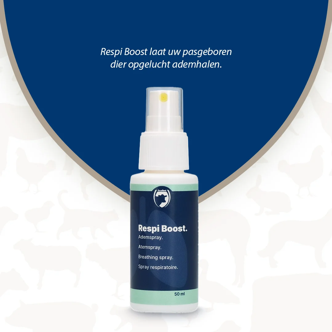Dýchací sprej pro novorozená zvířata, 50 ml – Excellent Respi Boost - Obrázek 2
