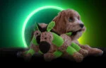 Plyšová hračka pro psy Oslík s pískátkem, zelená S – Retro Dog Donkey - Obrázek 4